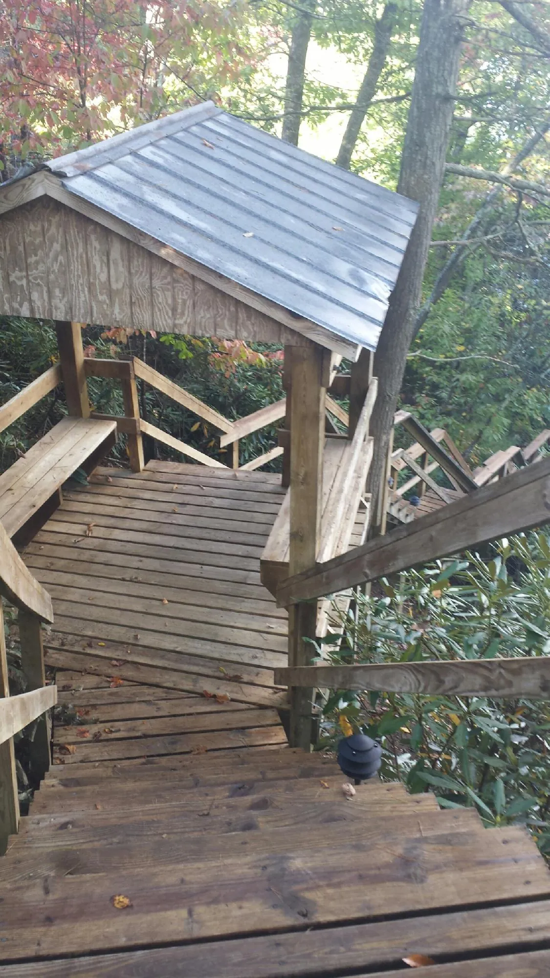 Metal roofed shelter over wooden steps on a wooded walkway — Skylight Repair & Installation work by our crew in Woodville